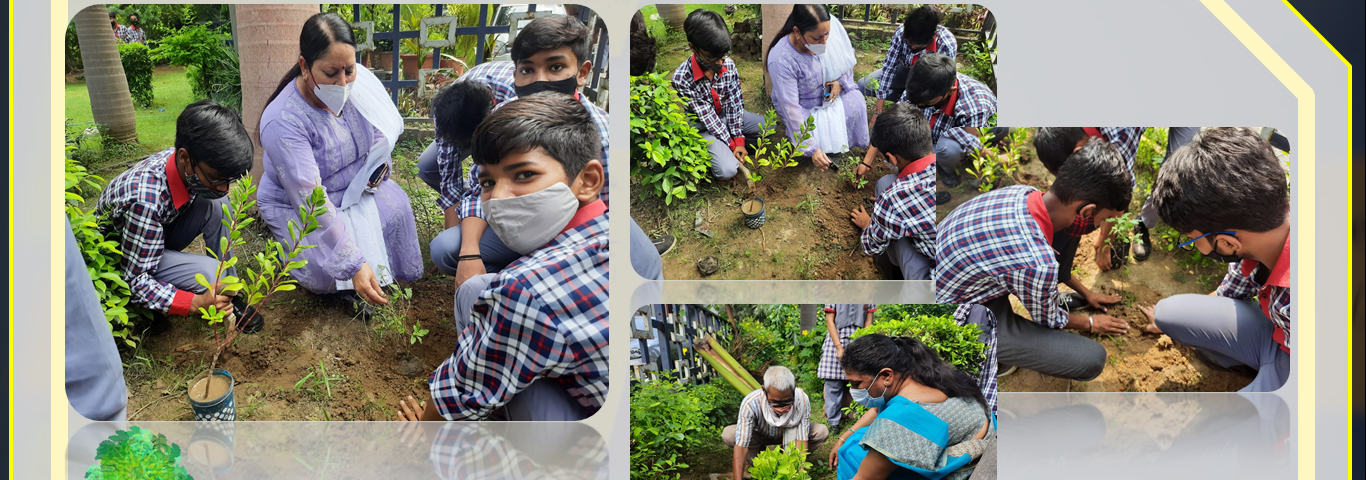 Tree Plantation in the year 2021